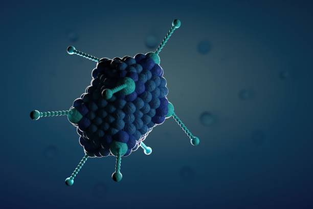 Chemotaxis Protein Antibiotic Resistance