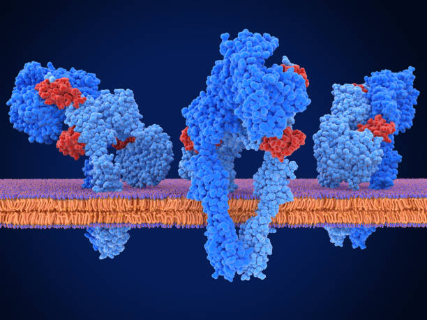 Chemotaxis Protein Antibiotic Resistance